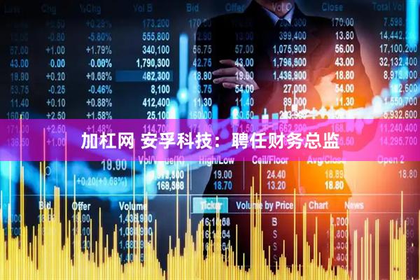 加杠网 安孚科技：聘任财务总监